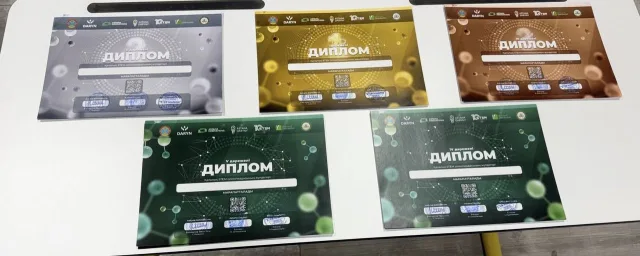 Дипломы